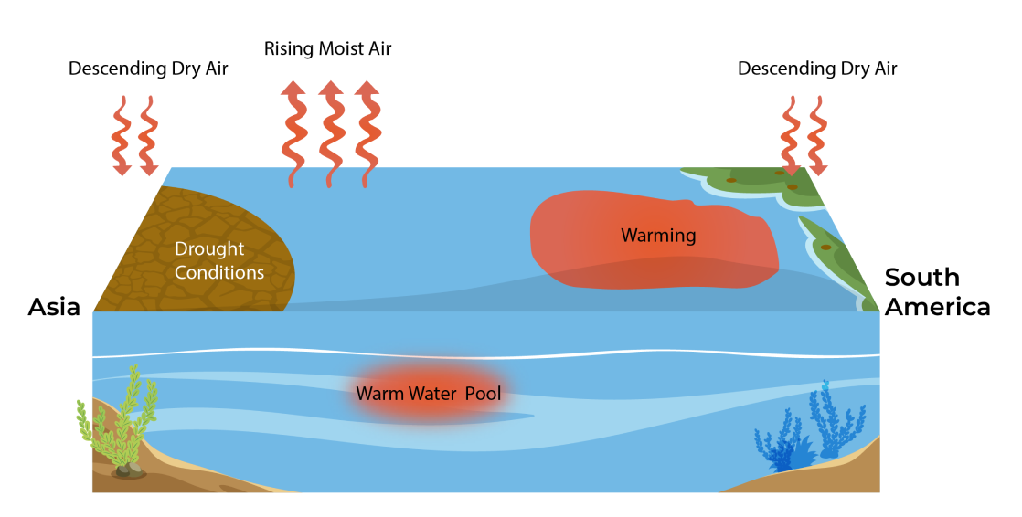 El Niño Effects on earth