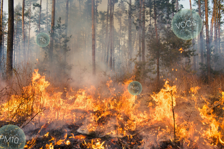 Wildfire releases air pollution