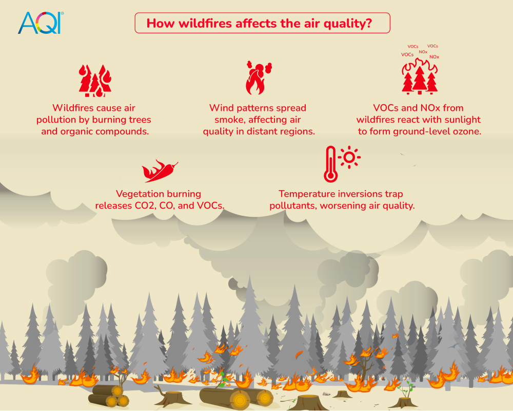 How wildfires affect air quality?