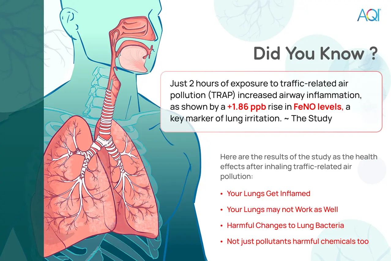 fact from the study to highlight how traffic related air pollution exposure only for 2 hours can cause severe problems