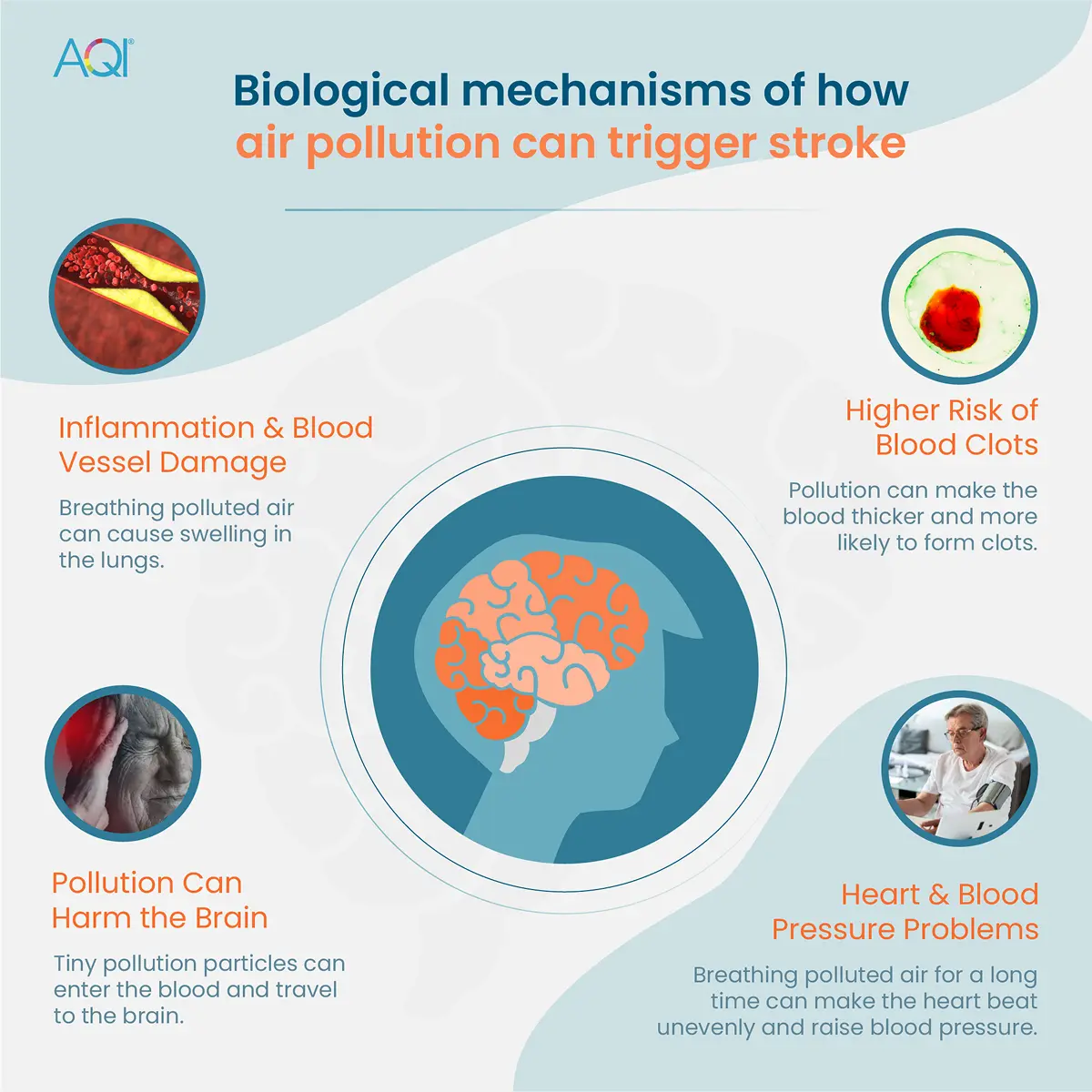 biological mechanisms of air pollution causing stroke