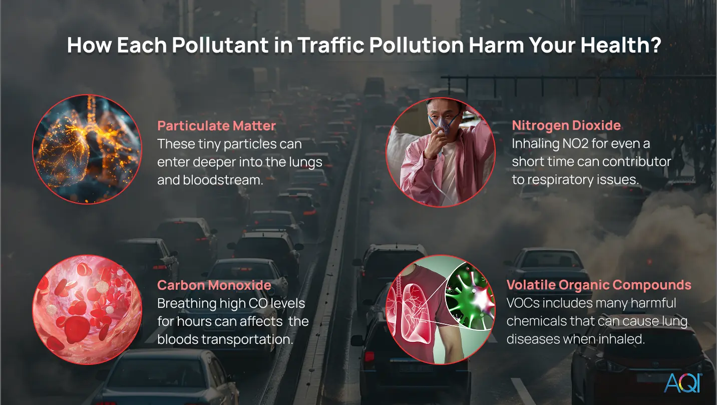 how each pollutant in the traffic-related air pollution affect the human health