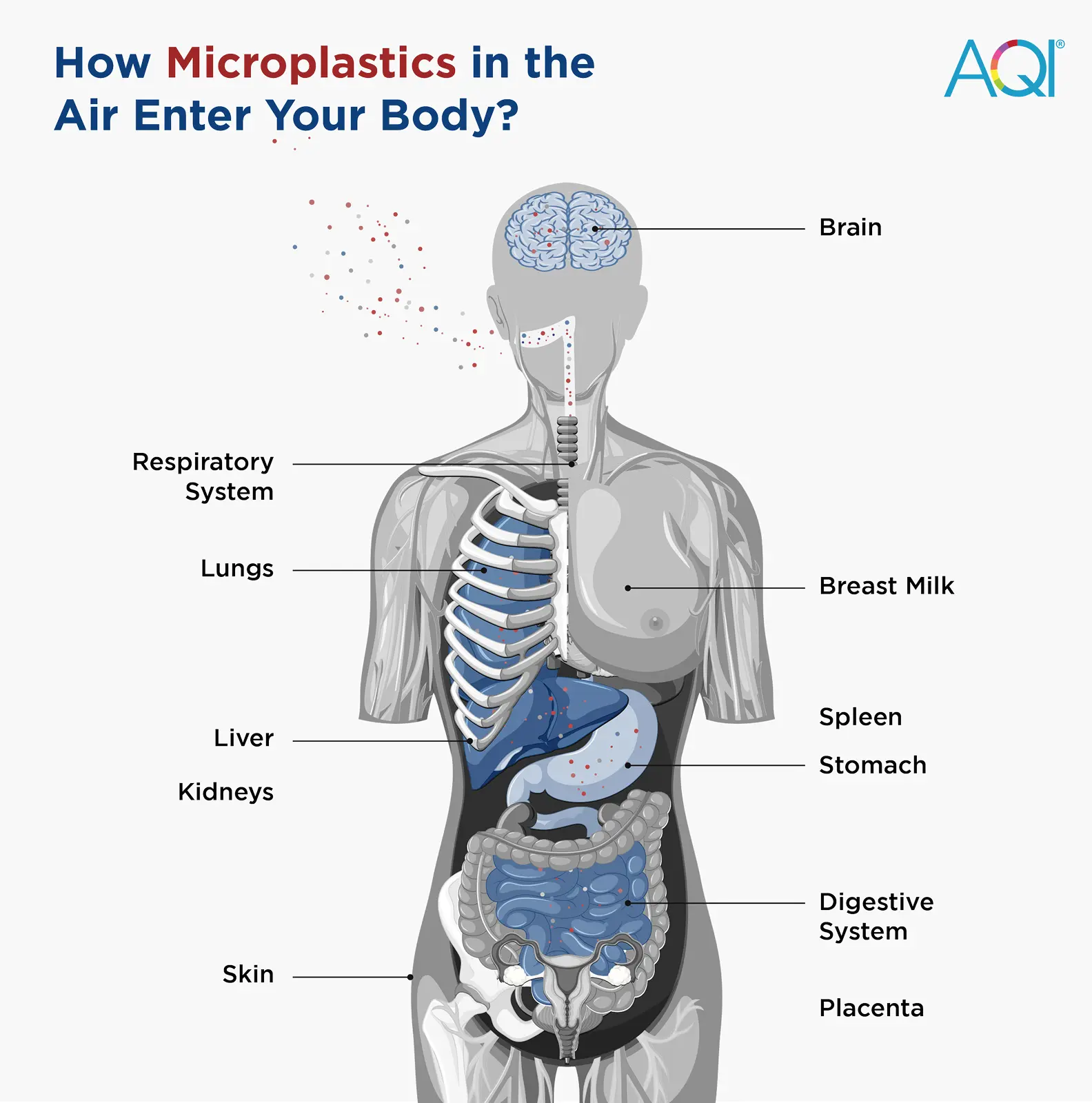 How microplastic enters in the human body through air