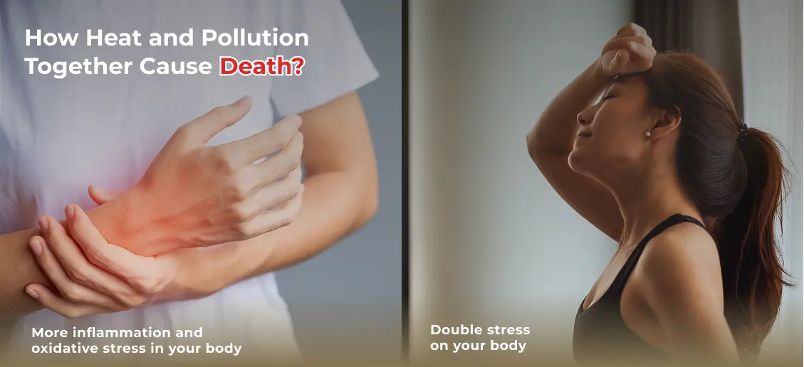 impacts of air pollution and heat on the human health