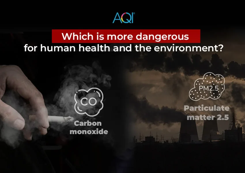 Carbon monoxide (CO) or PM2.5: Which is more dangerous for human health and the environment?