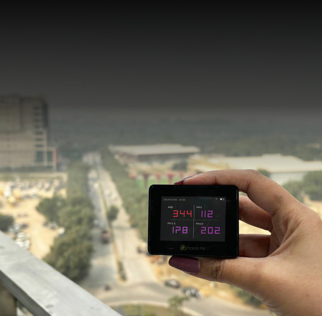 Pocket PM Air Quality Monitor
